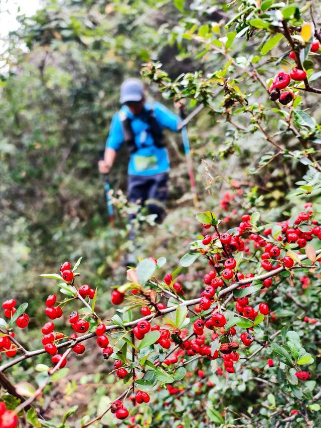 “迎文化旅游大会·赴天坑之约”徒步广西（百色乐业站）活动圆满收官