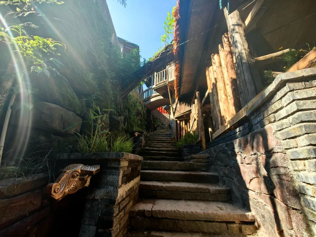 藏在秋日里的芦山漫游指南