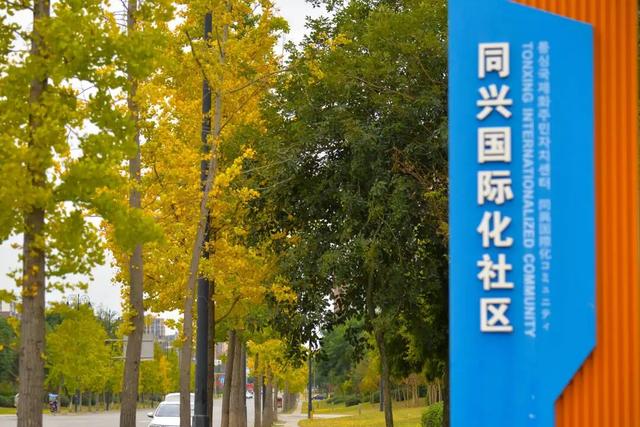 太美了！金堂这些地方值得一去