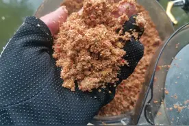 这可能是钓鲤鱼效率最高的方法，诱鱼很快，一不小心就连杆图片