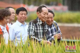 天上有两颗星告诉我们：好好吃饭，健康长大图片