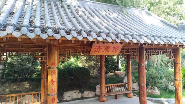 银川花博园真的好大，好大，是我见过的最大的花园