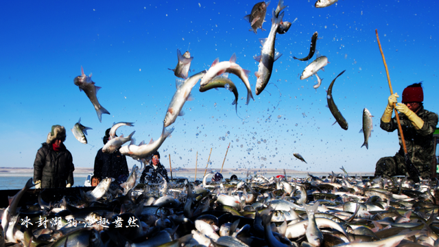 沸腾冬日！赤峰就要这么“玩”……