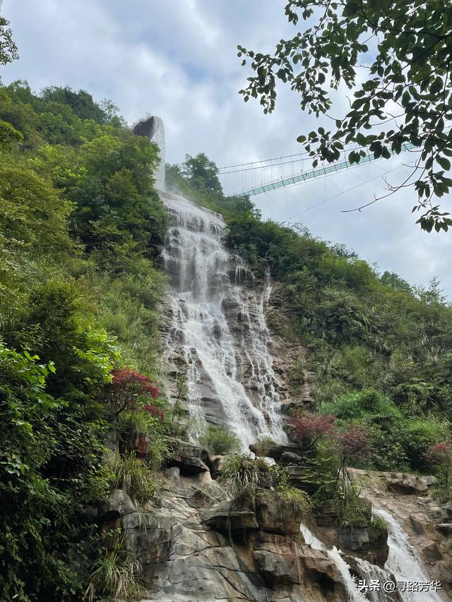 闲居南宝山，慢慢走，将时间浪费在山林之中
