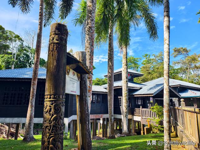 马来西亚(32)砂拉越州⑥世界遗产尼亚洞窟探险