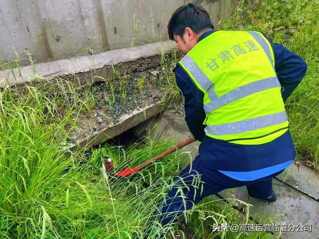 临夏分公司夏河收费站：护航草原旅游季，情暖高速“呀咕嘟”