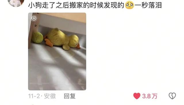 在三里屯逛殡葬店，买到了人生墓碑