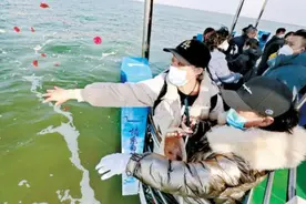 入土为安还是魂归大海？如果选择“海葬”，又该如何预约？怎么选择?图片