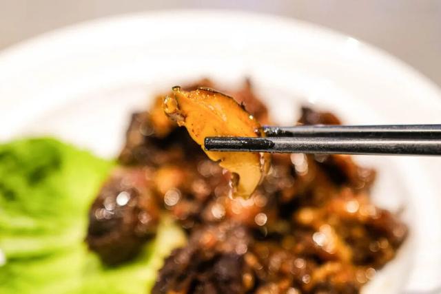 南北方温差大蹦迪？但这个城市正是出游好时候！