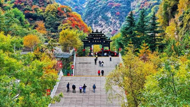 还能去哪儿赏最后一波秋色……