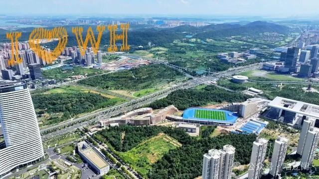 官宣！武汉将举行城市大巡游
