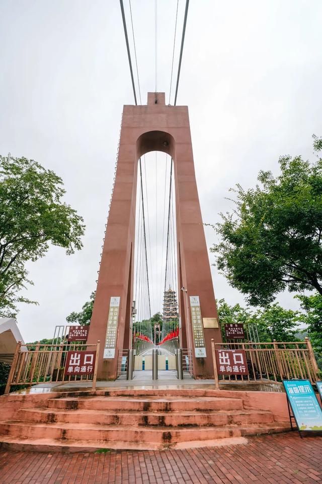红河弥勒有个雨天好去处，高空森林氛围感超绝，还能解锁隐藏体验