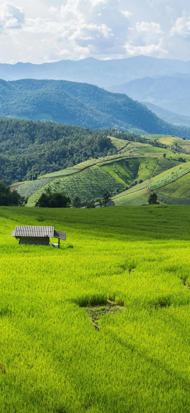 手机壁纸|清新盎然的自然风光美景