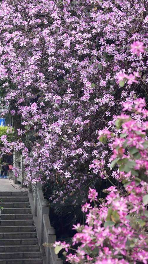 中年觉醒！慢旅居6城百日，我找到了生活的“本味密码”