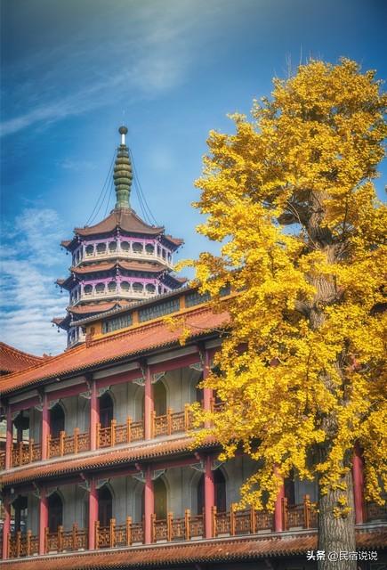金光照耀扬州古城，这六个地点直推！