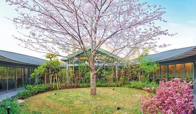 日本旅行美食探店之福冈「YAMAYA总本店」:享用特色九州料理