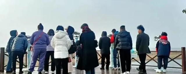 江苏东台,开启2026文旅新篇章!