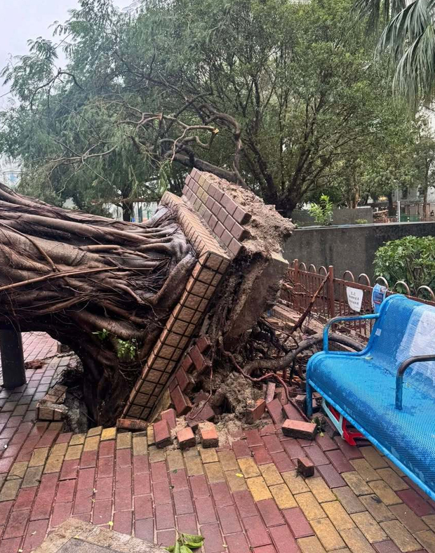三连升！霍启刚官宣喜讯，新身份给郭晶晶长脸，让李嘉诚不敢吭声