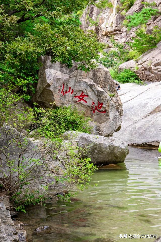 【乐享烟台】镜头装不下的美，是烟台昆嵛山的初秋