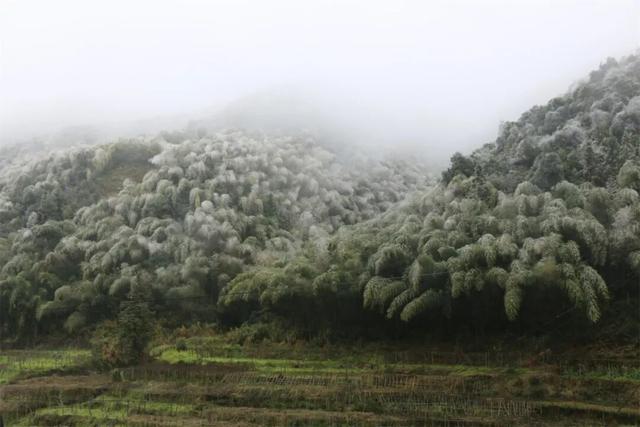 朋友圈C位预告！韶关雾凇限时上线，这片赏冰秘境地图等你来打卡