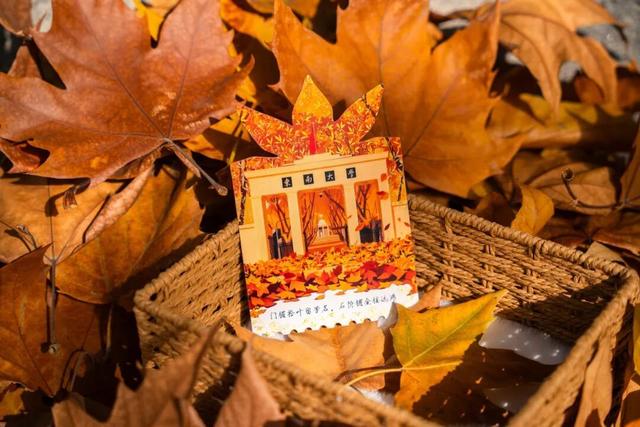 非遗遇上青春 南京这条巷子美成秋日顶流