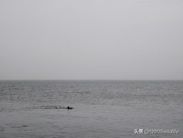 大连海之韵公园·棒槌岛