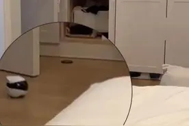 男子用新买移动摄像头在家娱乐，异地妻子一顿狂批，网友表情亮了图片