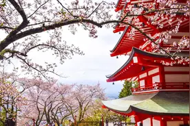 总说日本留学便宜，1年的真实花费有多少？图片