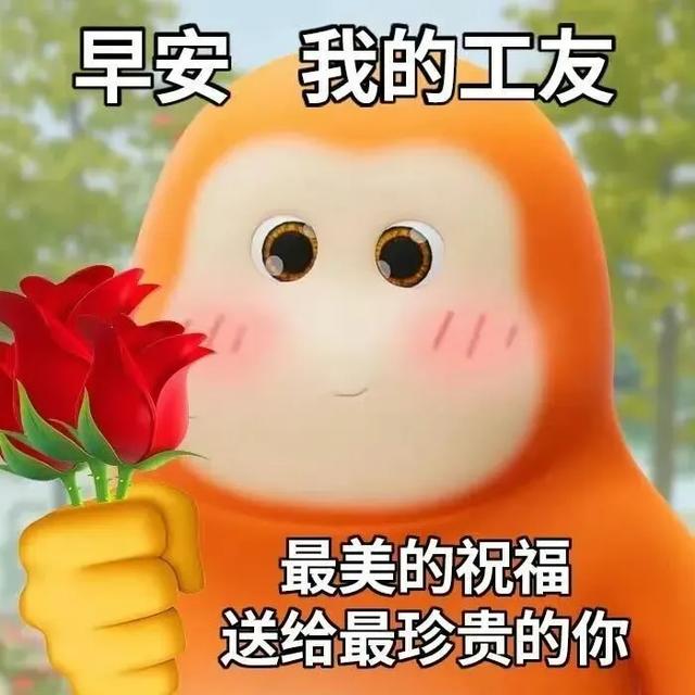 Share｜沙雕表情包11.02