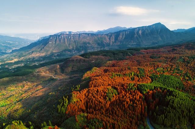 拿好不谢！重庆红叶季最全保姆级攻略，照着拍就对了！