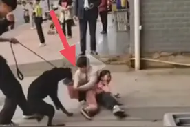 女孩当街遭烈犬撕咬重伤，狗主人没钱付费，下跪道歉或被追刑责图片