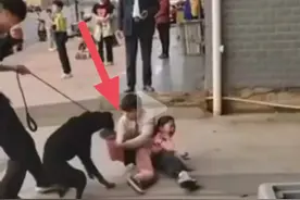 女孩当街遭烈犬撕咬重伤，狗主人没钱付费，下跪道歉或被追刑责图片