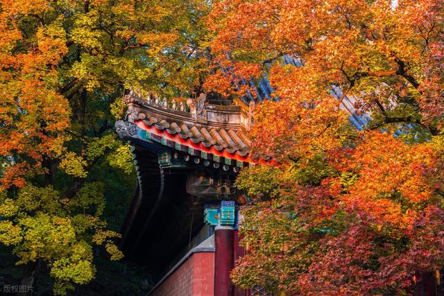 60岁之后一定要去一次！北京对老人免票的20+景点，不花钱还好玩