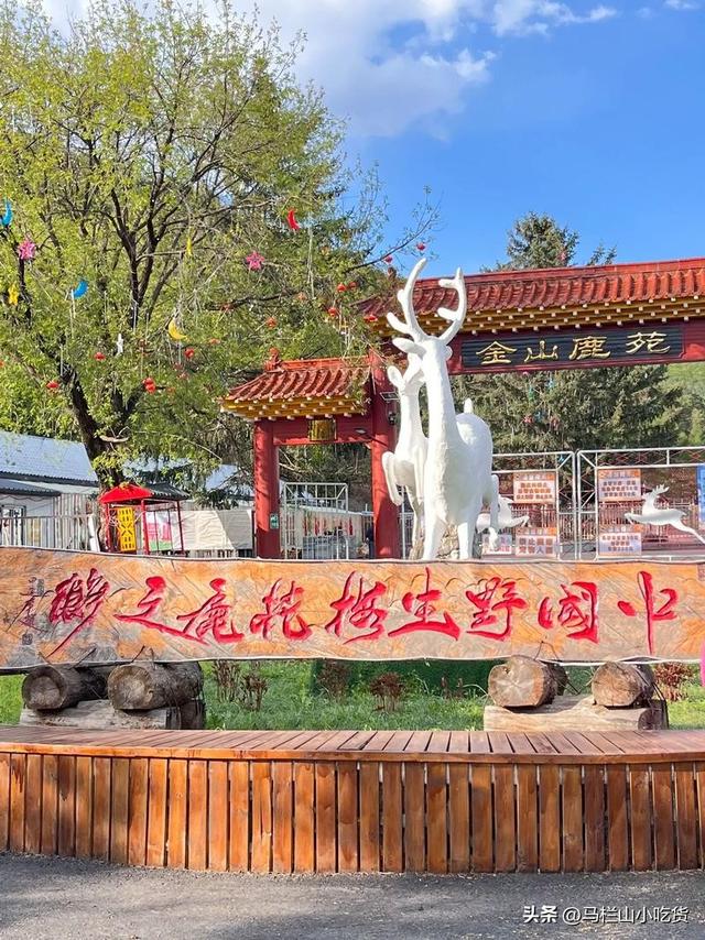 黑龙江鹤岗｜被房价带火的宝藏小城，玩起来也太香了！