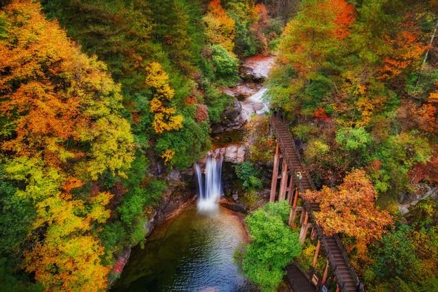 彩林、银杏、红叶...成都周边最值得去的8个景点