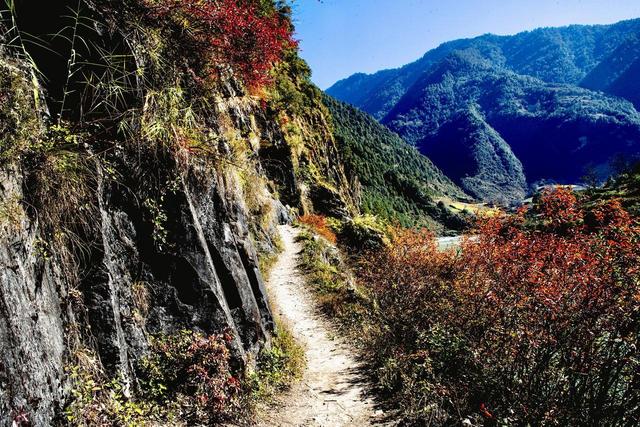 行走云南 | 茶马古道究竟有多少条？我们一起再来盘点茶马古道