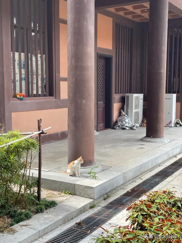 梅州周末游：丰顺留隍惠仁圣寺+黄金镇鸳鸯寨公园
