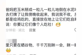 男生睡醒发现“天塌了”，晒的玉米没收全湿了，网友们纷纷支招图片