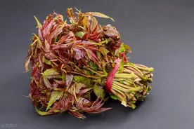 香椿与臭椿，名字相似，食用性却大相径庭，你了解吗？图片