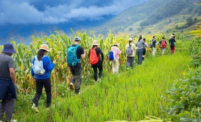 合肥人去了成都和西安，有感而发：成都和西安的“慢生活”根本