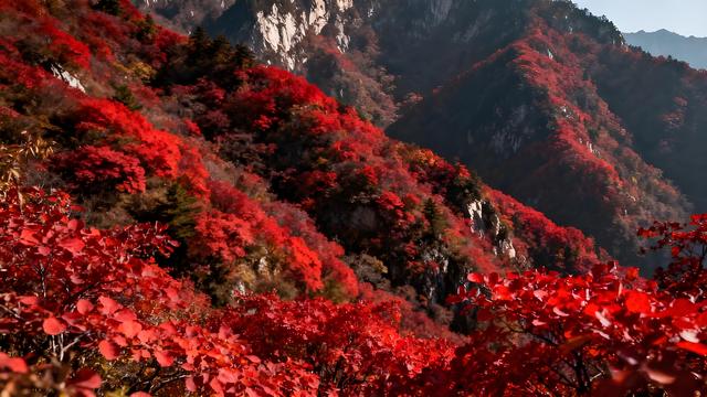 雁塔鎏金裁云影，秦岭披霞染秋光 — 漫步长安千年画卷里的清秋诗行