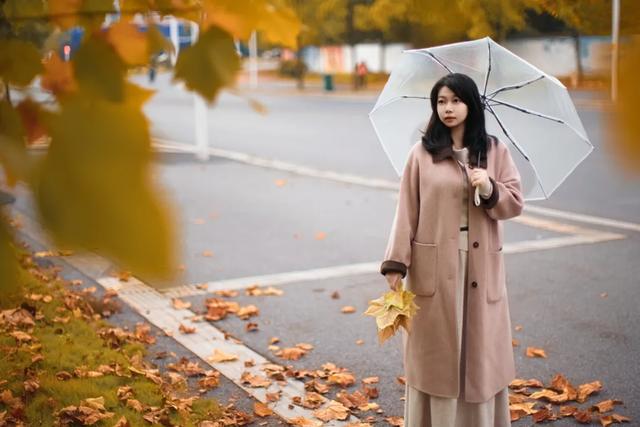 不用去南京,醴陵有属于自己的梧桐大道