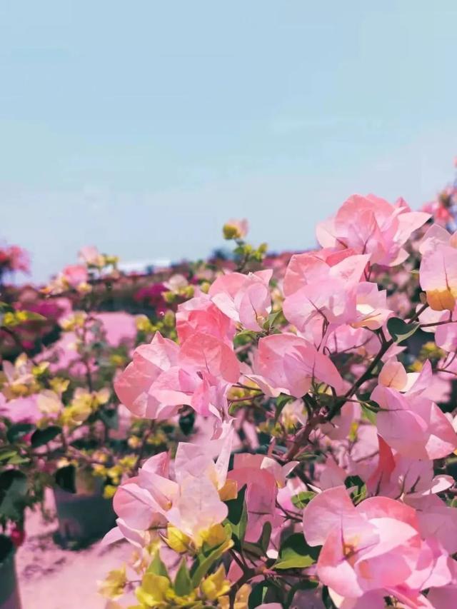 乐东有自己的夏日美学🤩