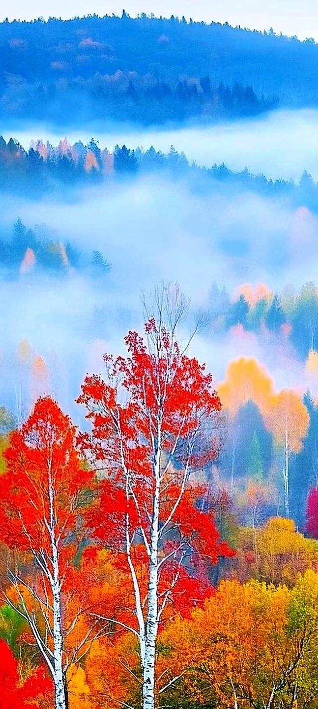 站桩最高心法：不拼蛮力，只练“气贯全身”的通透感