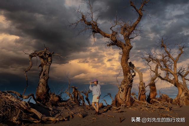 10月限定｜穿越金色时空：中国三大胡杨林，终极赏秋指南