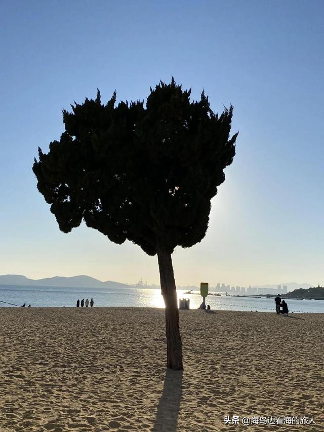 我是上海人，去了趟山东青岛，忍不住说说，青岛给我的5个印象