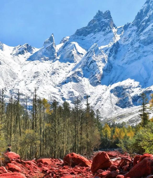 今年理县红叶开挂了！红得惊动天地，美到不可方物