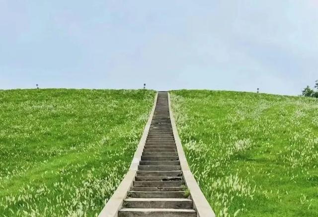 国家级榜单！潍坊这条路线上榜！