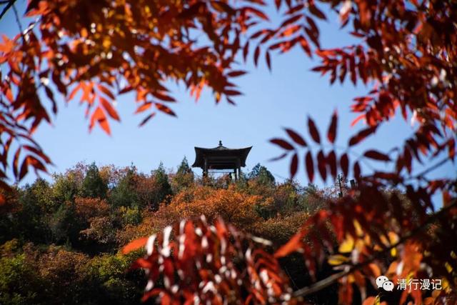 京郊游之坡峰岭