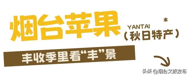【乐游烟台】丰收季，烟台秋日采摘全攻略来啦！